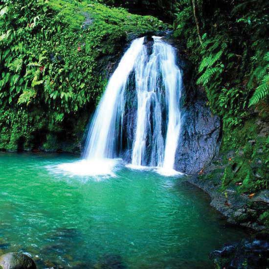 Visite du parc national de la Guadeloupe